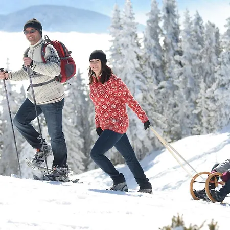 فندق Kuchlerwirt تريفن